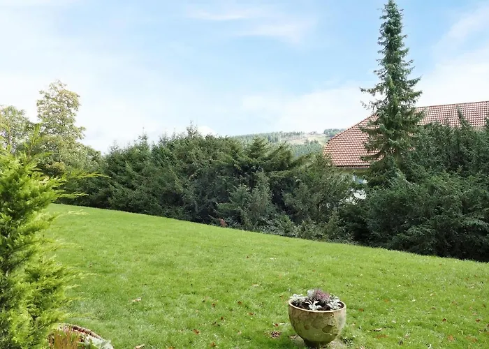 Apartamento In Hahnenklee With Wifi *